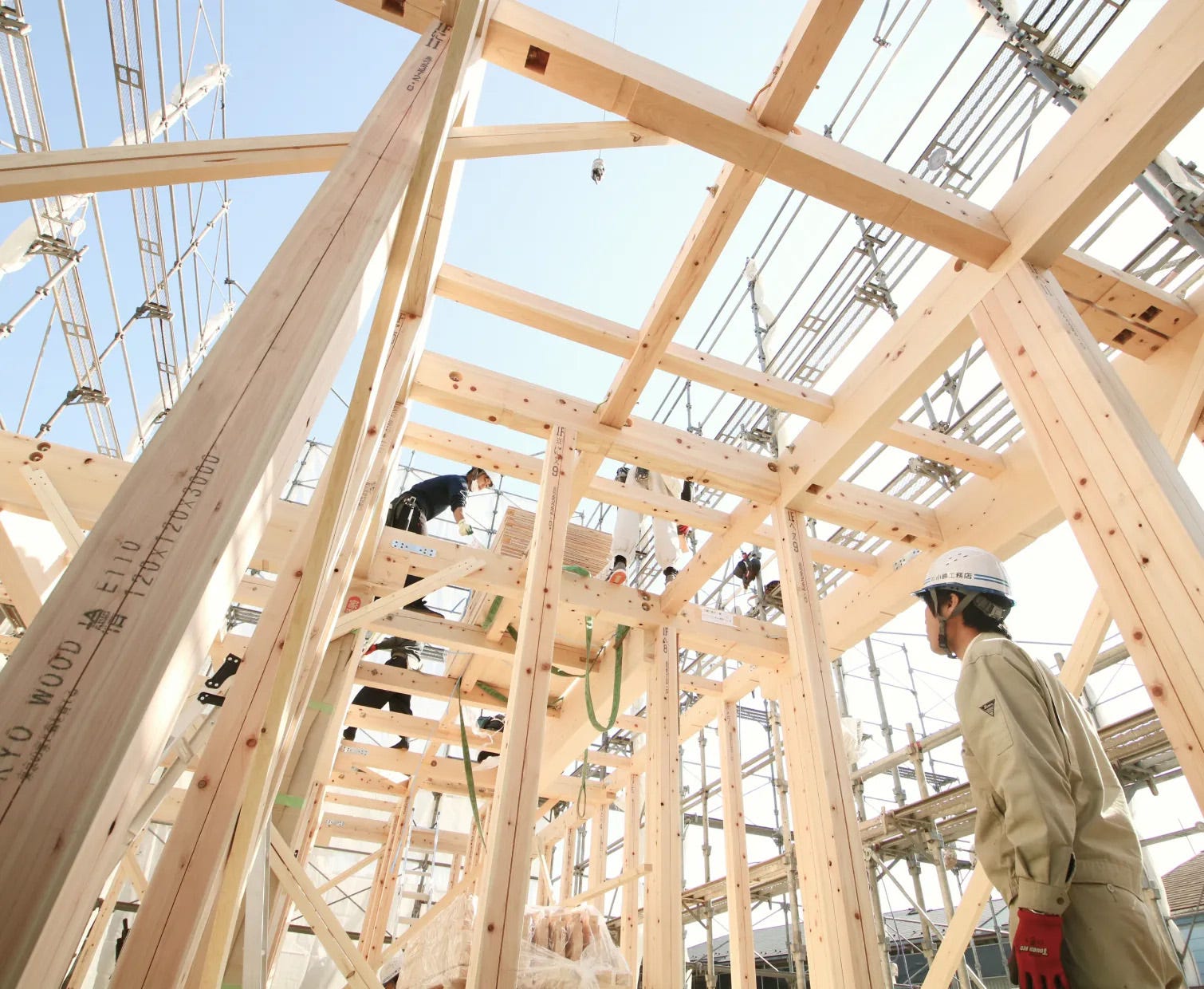 小嶋工務店は「TOKYO WOOD」という高品質な木材を使用しています。耐久性があり、地震に対する強度が高い特性を持っています。
また、最新の耐震設計基準に基づいているため、住宅寿命を延ばすための工法を採用しています。

1.TOKYO WOOD
2.耐震等級 最高ランク3
3.シロアリ対策