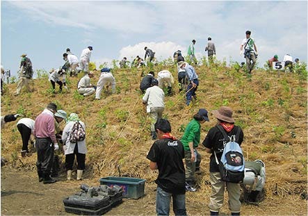 日本の木の家が森を守る環境共棲きょうせい住宅