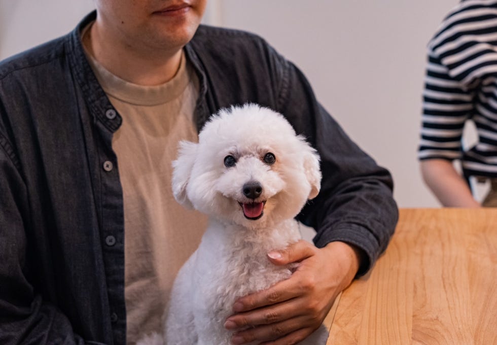 WITH DOG.01 #安心して共に暮らす住環境